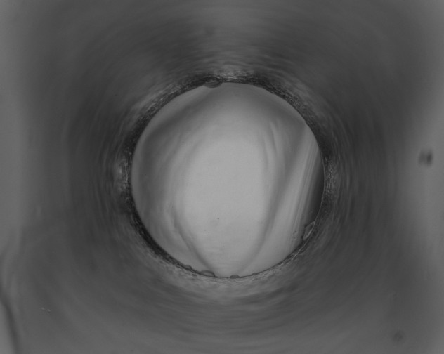 X0000090950043200708241139