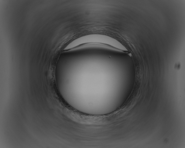 X0000090950044200708241139