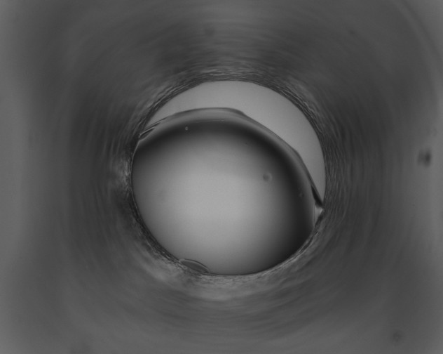 X0000090950045200708241139