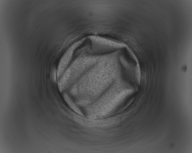 X0000090950046200708241139