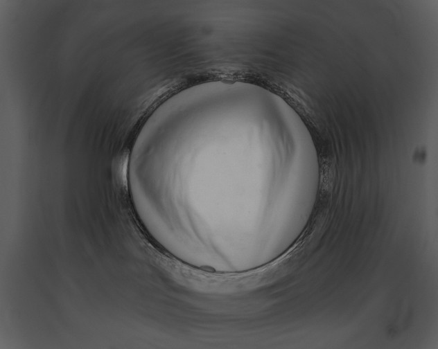 X0000090950047200708241139