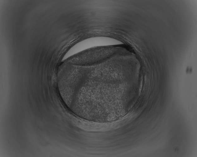 X0000090950048200708241139