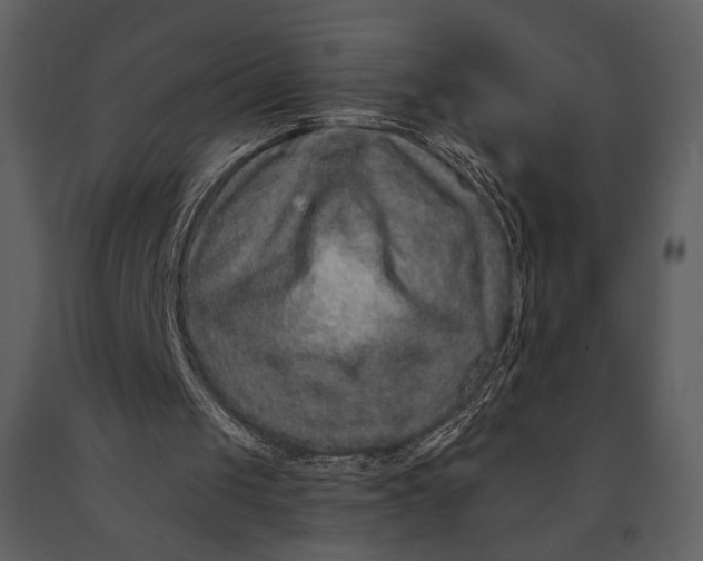 X0000090950049200708241139