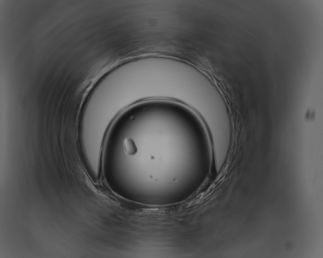 X0000090950050200708241139