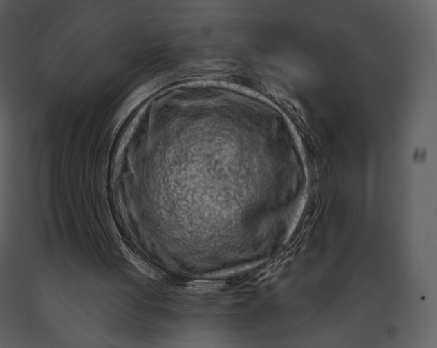X0000090950051200708241139
