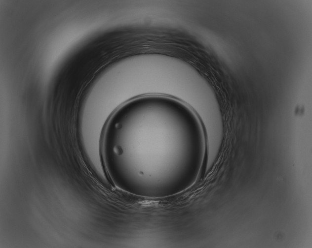 X0000090950052200708241139