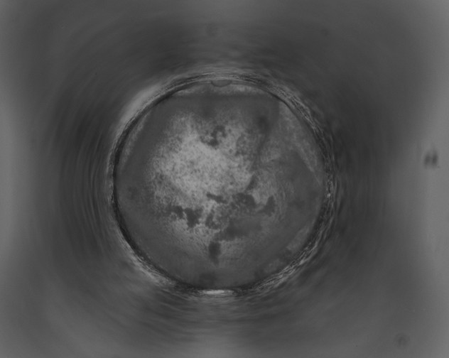 X0000090950053200708241139