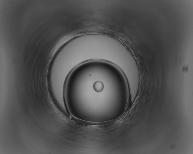 X0000090950054200708241139