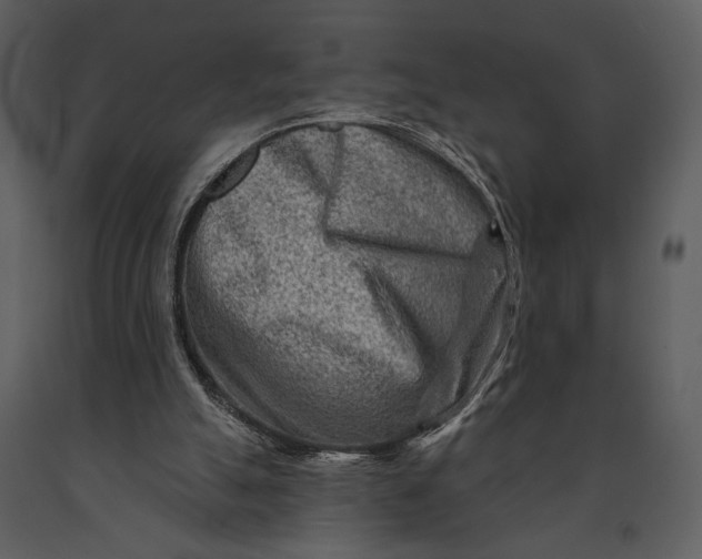 X0000090950055200708241139