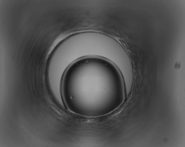 X0000090950056200708241139