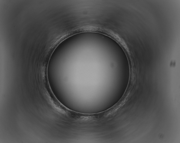 X0000090950057200708241139