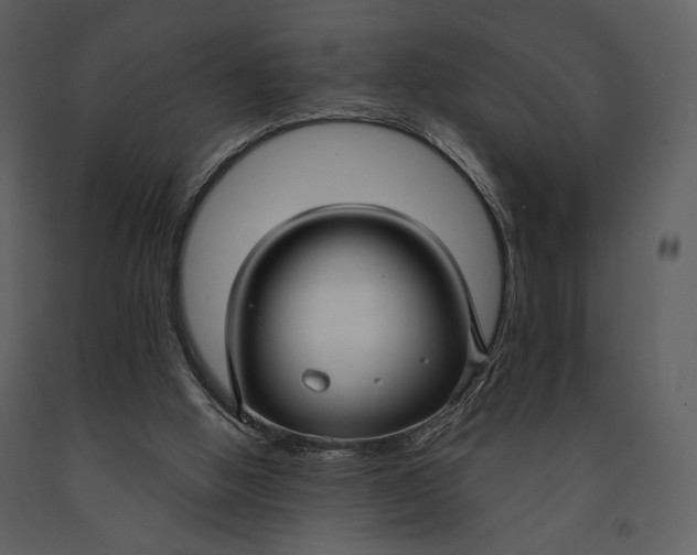 X0000090950058200708241139