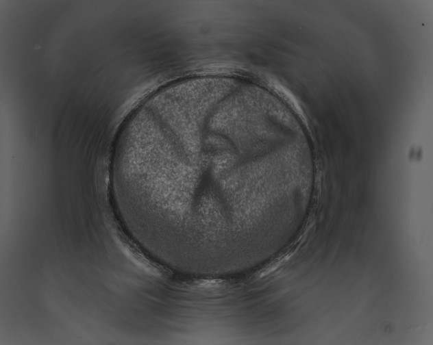 X0000090950059200708241139