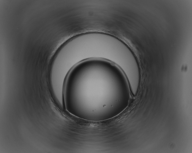 X0000090950060200708241139