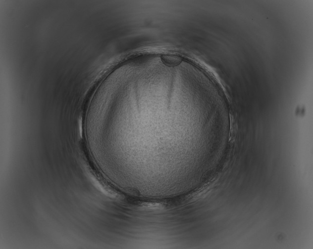 X0000090950061200708241139