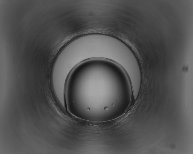X0000090950062200708241139