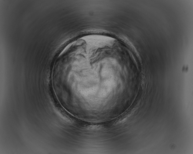 X0000090950063200708241139