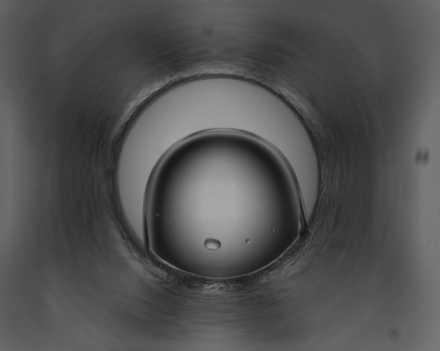 X0000090950064200708241139
