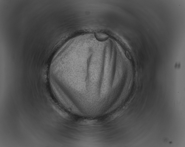 X0000090950065200708241139