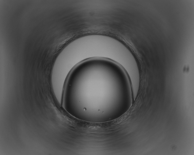 X0000090950066200708241139