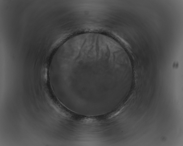 X0000090950067200708241139