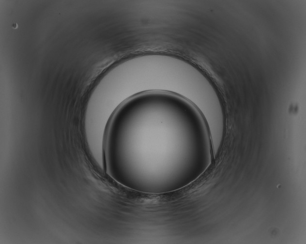 X0000090950068200708241139