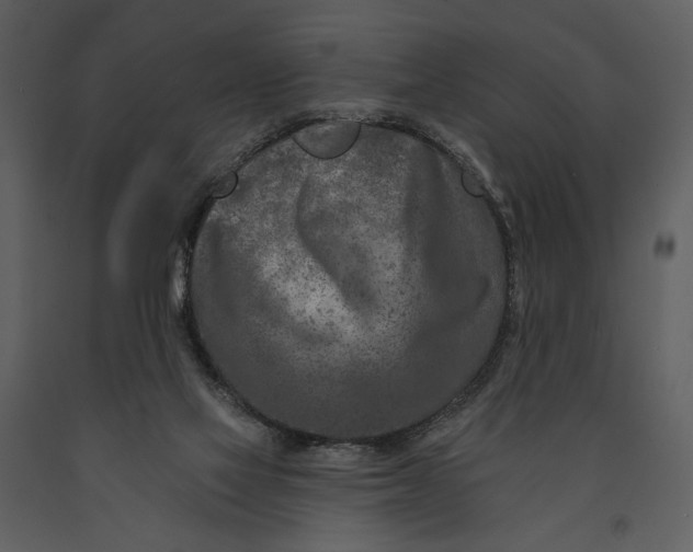 X0000090950069200708241139