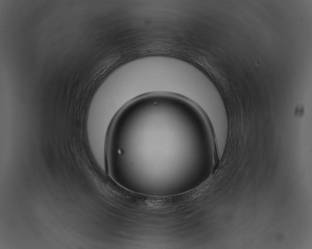 X0000090950070200708241139