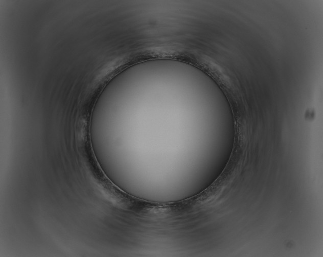 X0000090950071200708241139