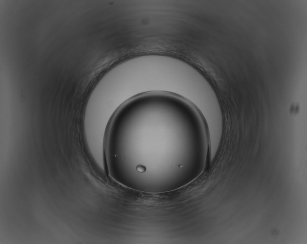 X0000090950072200708241139