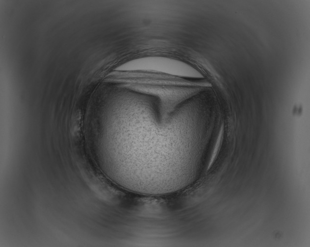 X0000090950073200708241139