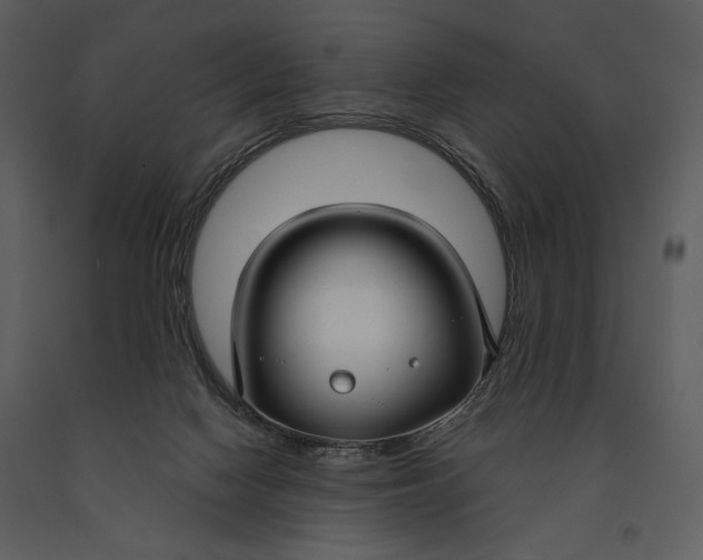 X0000090950074200708241139
