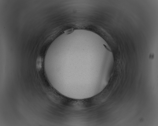 X0000090950075200708241139