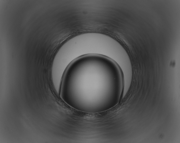 X0000090950076200708241139