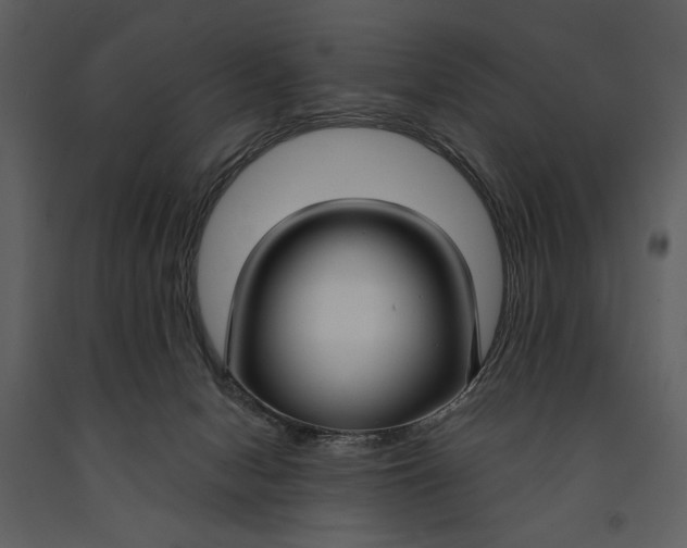 X0000090950078200708241139