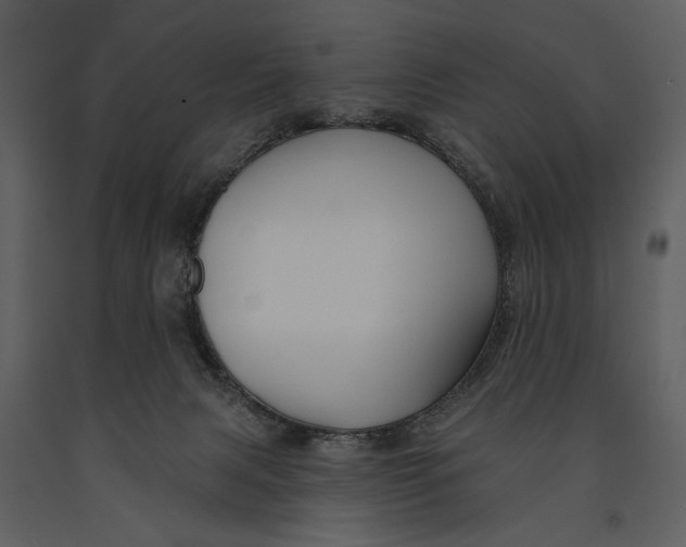X0000090950079200708241139