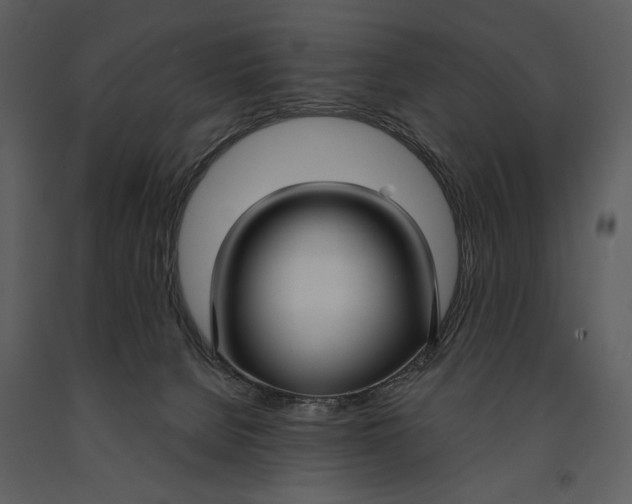 X0000090950080200708241139