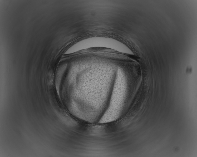 X0000090950081200708241139