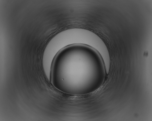 X0000090950082200708241139
