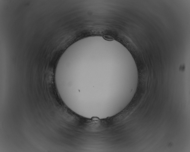 X0000090950083200708241139