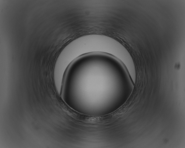X0000090950084200708241139