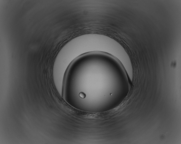 X0000090950086200708241139