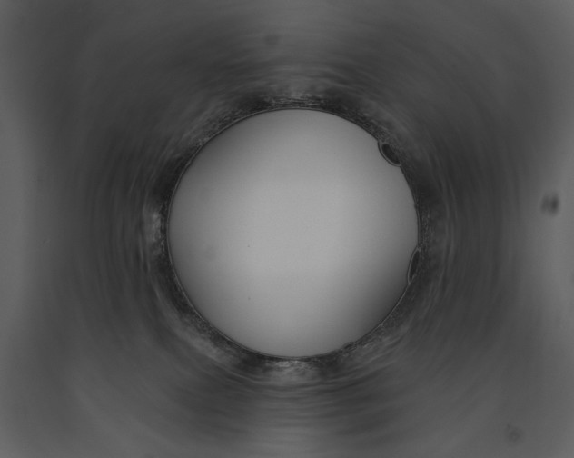 X0000090950087200708241139