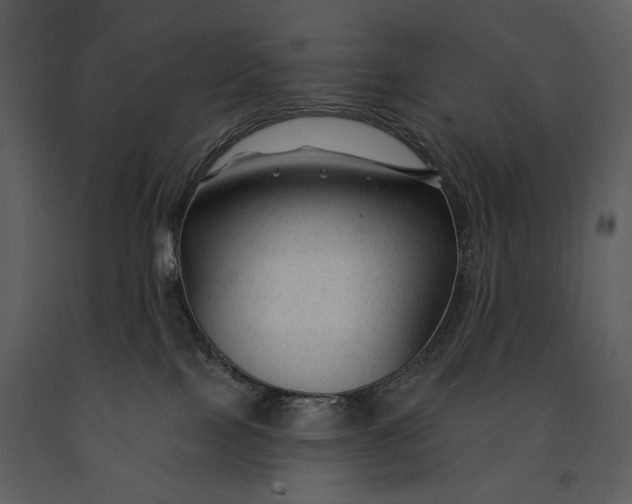 X0000090950089200708241139