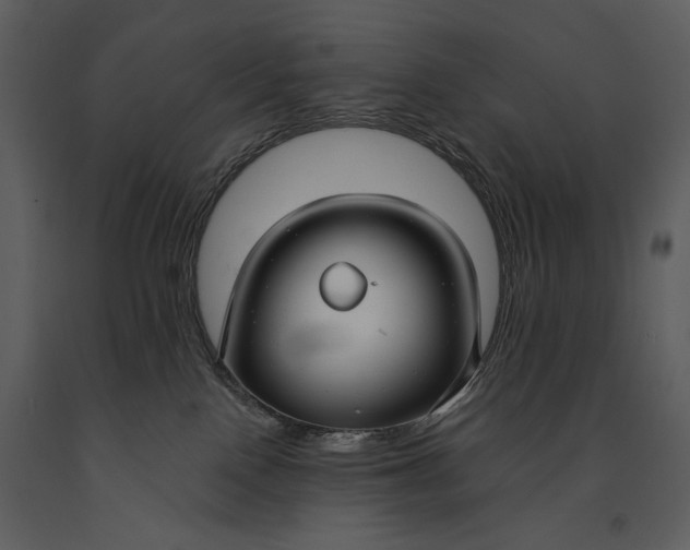 X0000090950090200708241139