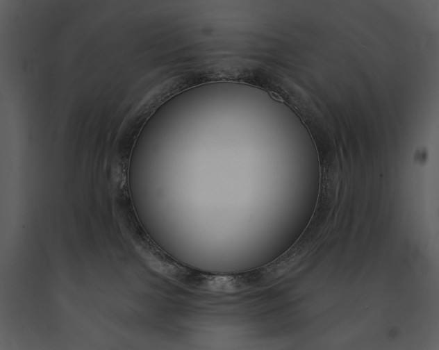 X0000090950091200708241139