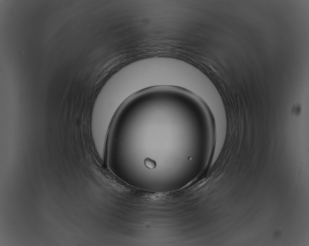 X0000090950092200708241139
