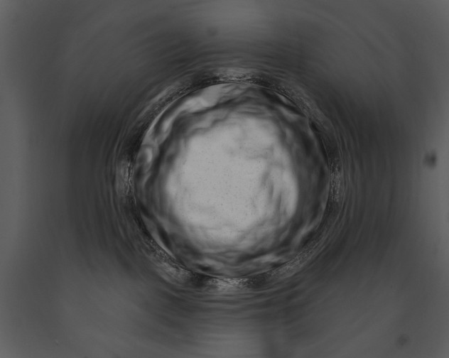 X0000090950093200708241139