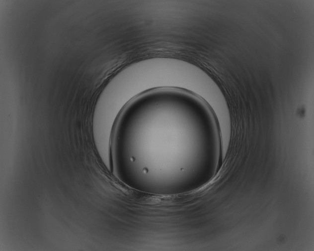X0000090950094200708241139