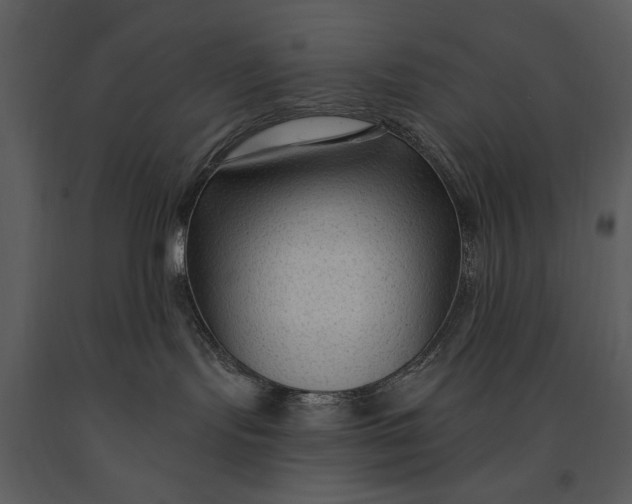 X0000090950095200708241139